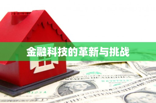 安仁金融科技的革新与挑战