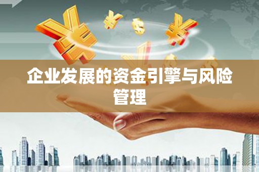 白碱滩企业发展的资金引擎与风险管理