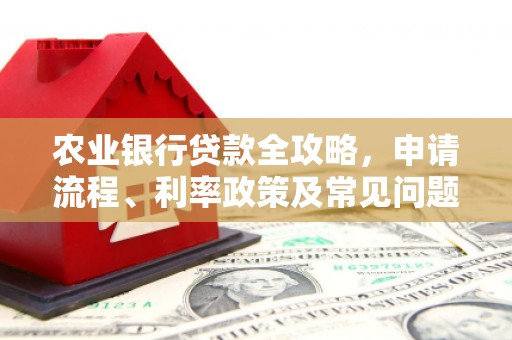额敏农业银行贷款全攻略，申请流程、利率政策及常见问题解析
