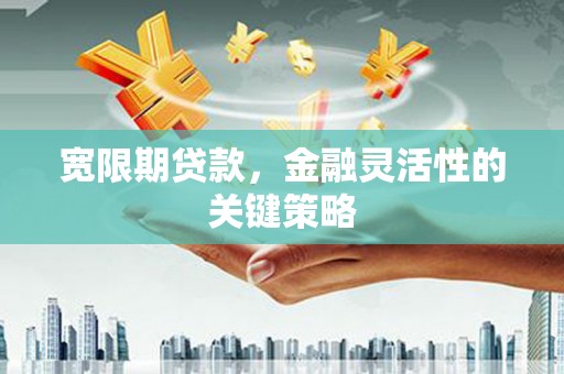 屏南宽限期贷款，金融灵活性的关键策略