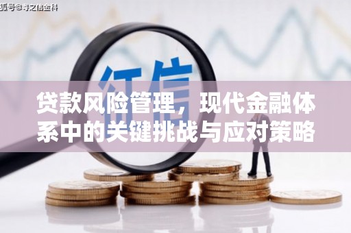 滦县贷款风险管理，现代金融体系中的关键挑战与应对策略