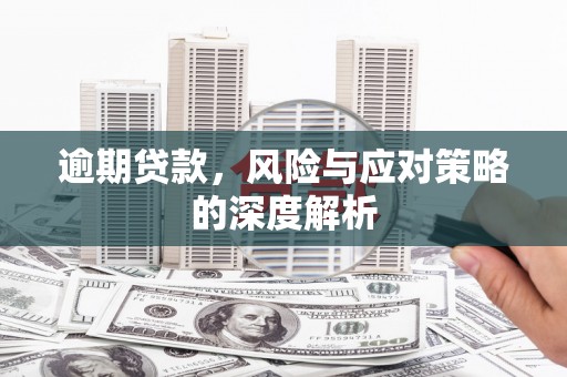 嘉兴逾期贷款，风险与应对策略的深度解析