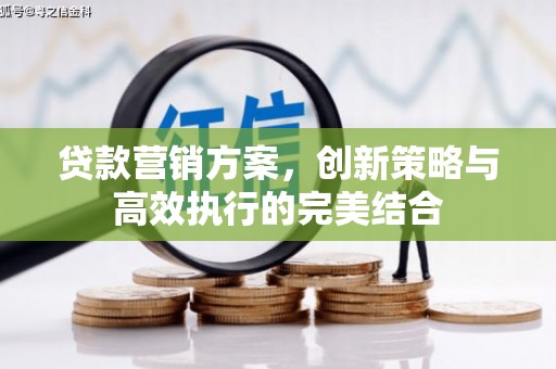 新邱贷款营销方案，创新策略与高效执行的完美结合