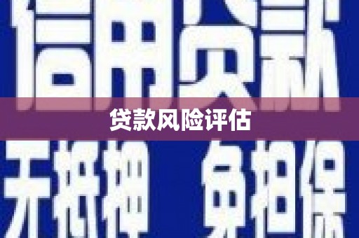 美浓贷款风险评估
