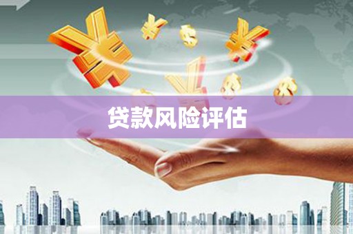 太平贷款风险评估