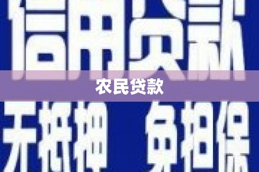 理县农民贷款