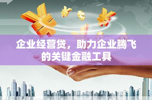 阿里山企业经营贷，助力企业腾飞的关键金融工具