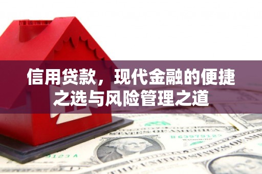 白河信用贷款，现代金融的便捷之选与风险管理之道