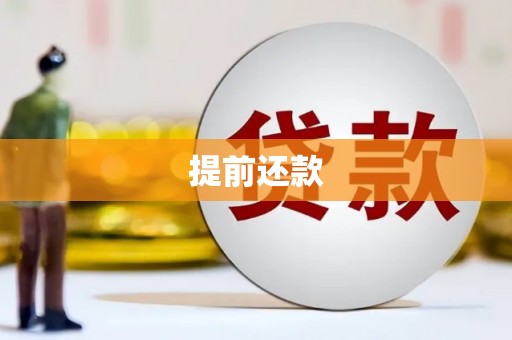沧源提前还款