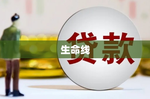 凤岗生命线