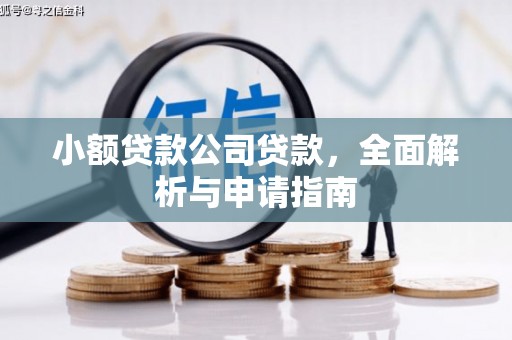 东坑小额贷款公司贷款，全面解析与申请指南