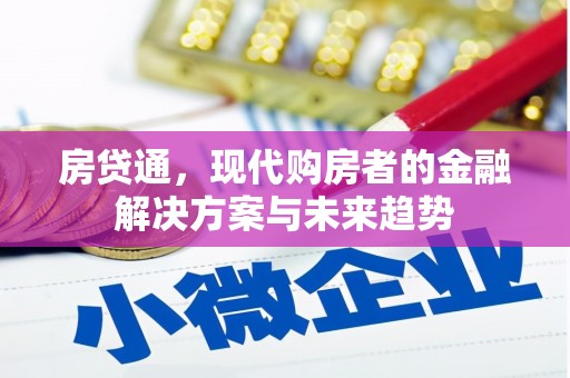囊谦房贷通，现代购房者的金融解决方案与未来趋势