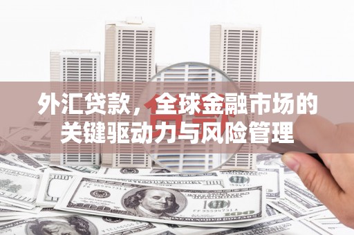 甘孜外汇贷款，全球金融市场的关键驱动力与风险管理