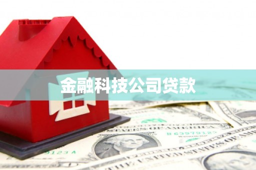 顺城金融科技公司贷款