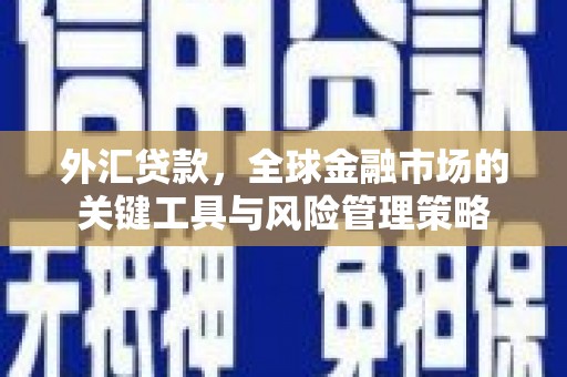 临泉外汇贷款，全球金融市场的关键工具与风险管理策略