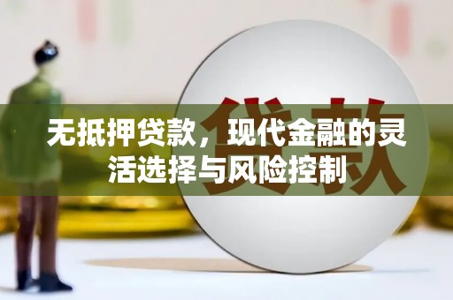临湘无抵押贷款，现代金融的灵活选择与风险控制