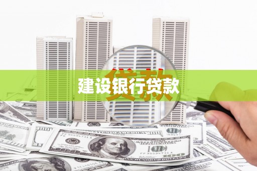 林甸建设银行贷款