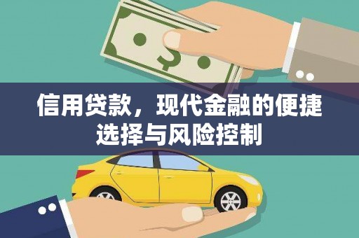 蒙阴信用贷款，现代金融的便捷选择与风险控制