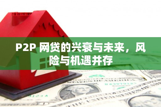 三亚P2P 网贷的兴衰与未来，风险与机遇并存