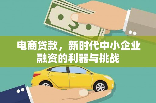 武义电商贷款，新时代中小企业融资的利器与挑战