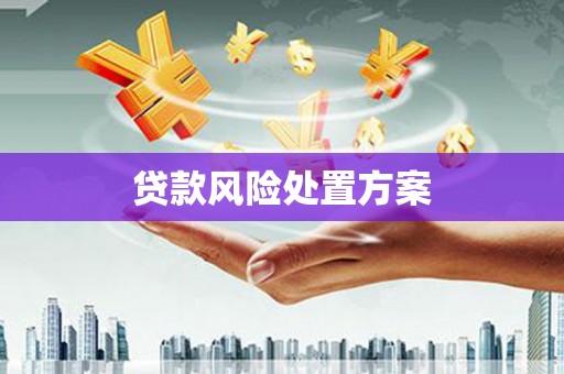 晋州贷款风险处置方案