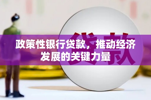 甘肃政策性银行贷款，推动经济发展的关键力量