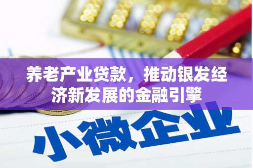 商南养老产业贷款，推动银发经济新发展的金融引擎