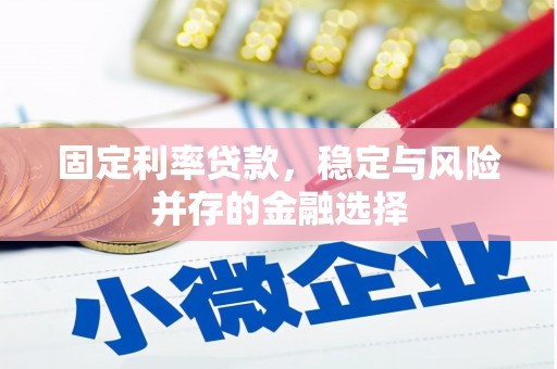 镇坪固定利率贷款，稳定与风险并存的金融选择