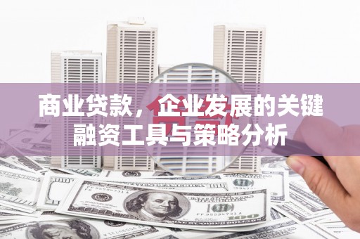 克孜勒苏柯尔克孜商业贷款，企业发展的关键融资工具与策略分析