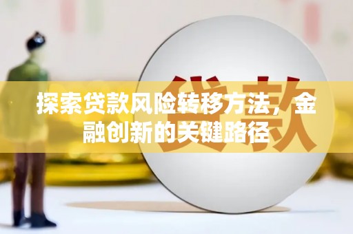 万宁探索贷款风险转移方法，金融创新的关键路径