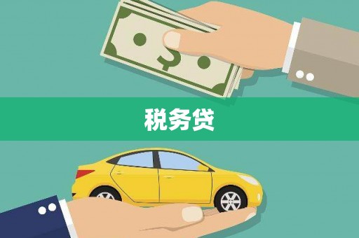 中宁税务贷