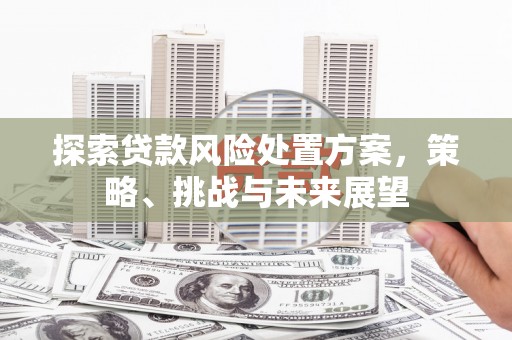 集宁探索贷款风险处置方案，策略、挑战与未来展望