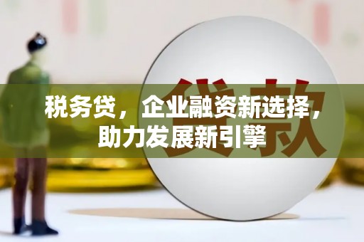 柳州税务贷，企业融资新选择，助力发展新引擎