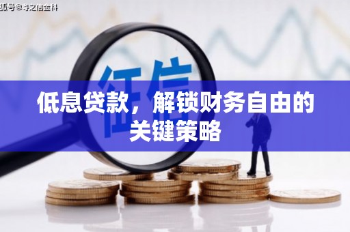 资中低息贷款，解锁财务自由的关键策略