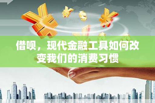 临安借呗，现代金融工具如何改变我们的消费习惯