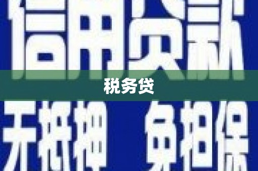 甘肃税务贷