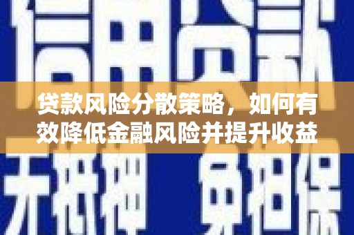双阳贷款风险分散策略，如何有效降低金融风险并提升收益