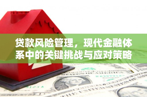 北市贷款风险管理，现代金融体系中的关键挑战与应对策略
