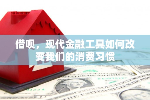 宁河借呗，现代金融工具如何改变我们的消费习惯