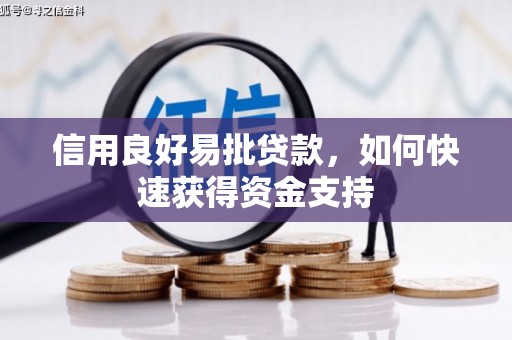 南召信用良好易批贷款，如何快速获得资金支持