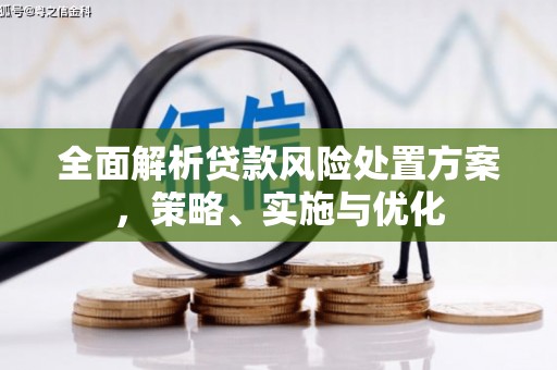 海安全面解析贷款风险处置方案，策略、实施与优化