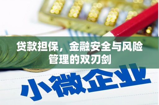 珙县贷款担保，金融安全与风险管理的双刃剑