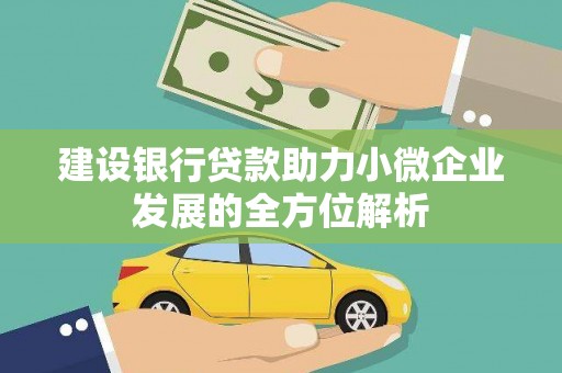 湖西建设银行贷款助力小微企业发展的全方位解析