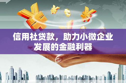白塔信用社贷款，助力小微企业发展的金融利器