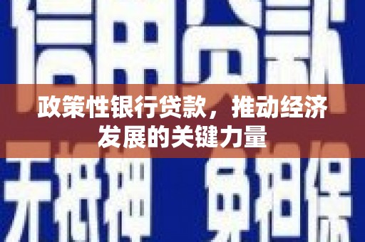 沽源政策性银行贷款，推动经济发展的关键力量