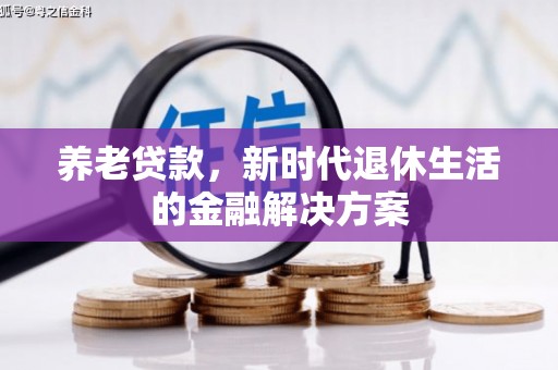 禹会养老贷款，新时代退休生活的金融解决方案