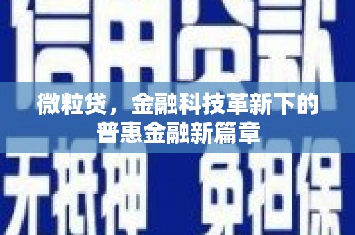 板桥微粒贷，金融科技革新下的普惠金融新篇章