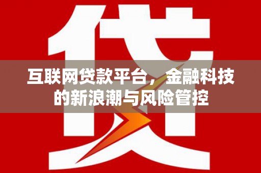 望安互联网贷款平台，金融科技的新浪潮与风险管控