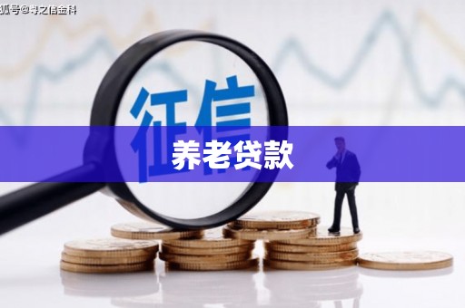 金城养老贷款