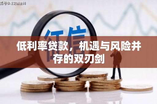 西峡低利率贷款，机遇与风险并存的双刃剑